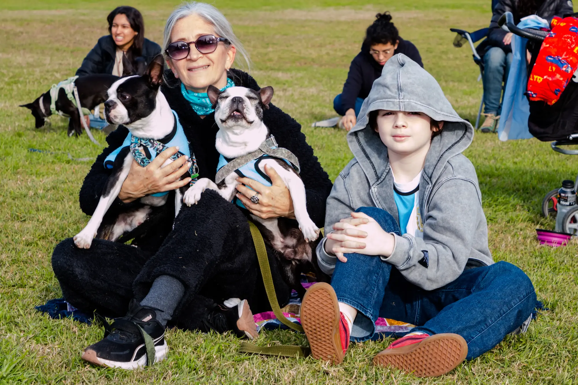 Fest Paw BA 2026